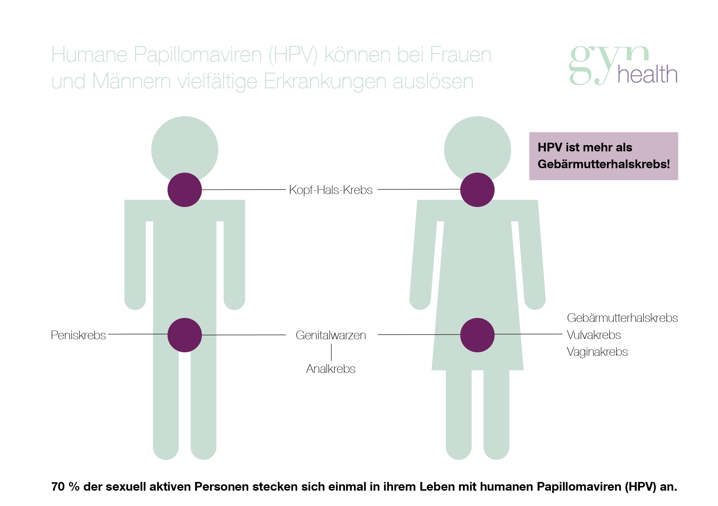 humanen Papillomaviren (HPV)