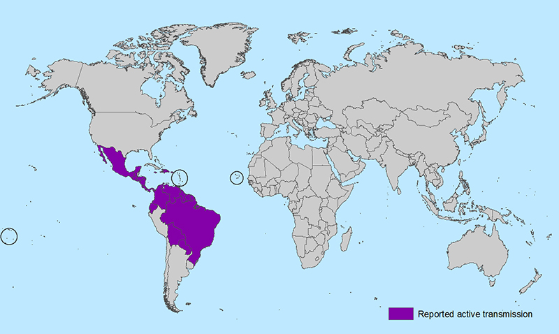 Zika Virusinfektion Verbreitung Februar 2016