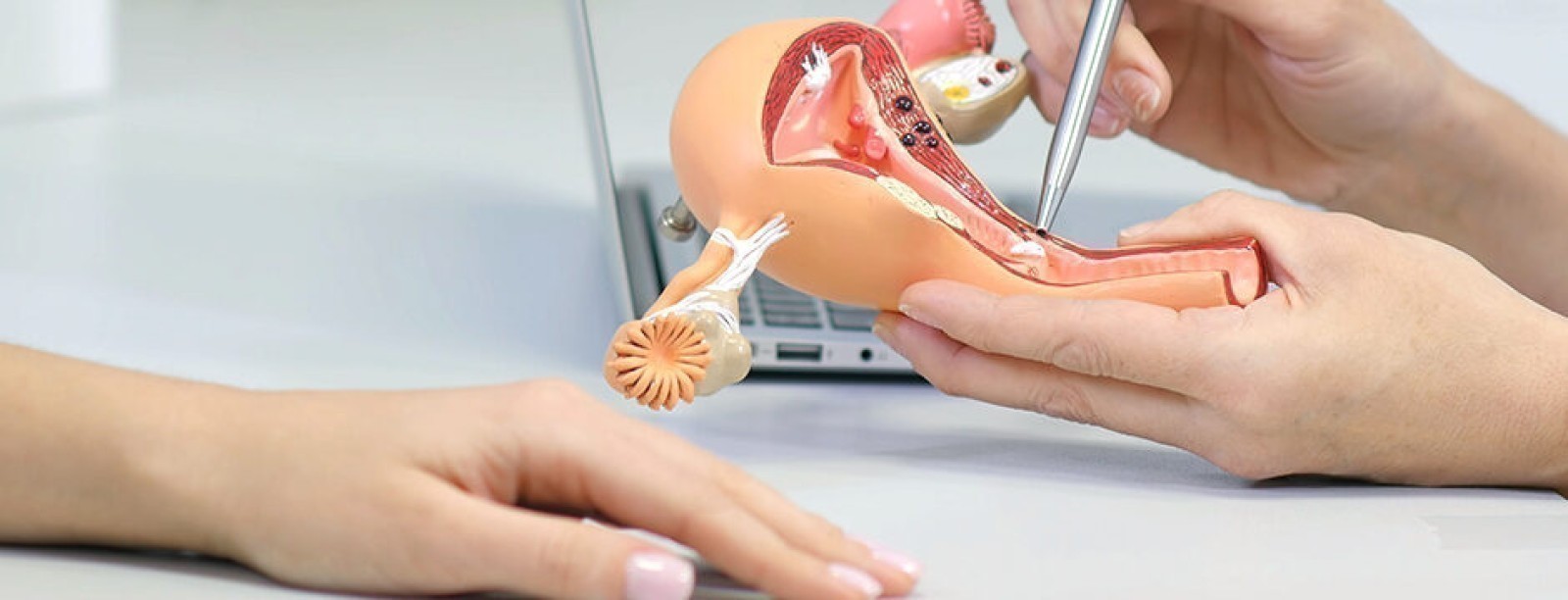 gynaekologie-1-940x360