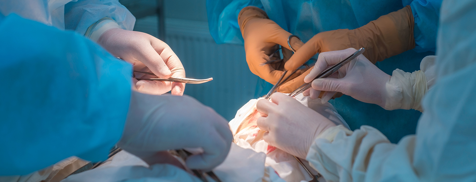 Belegkliniken & Partner